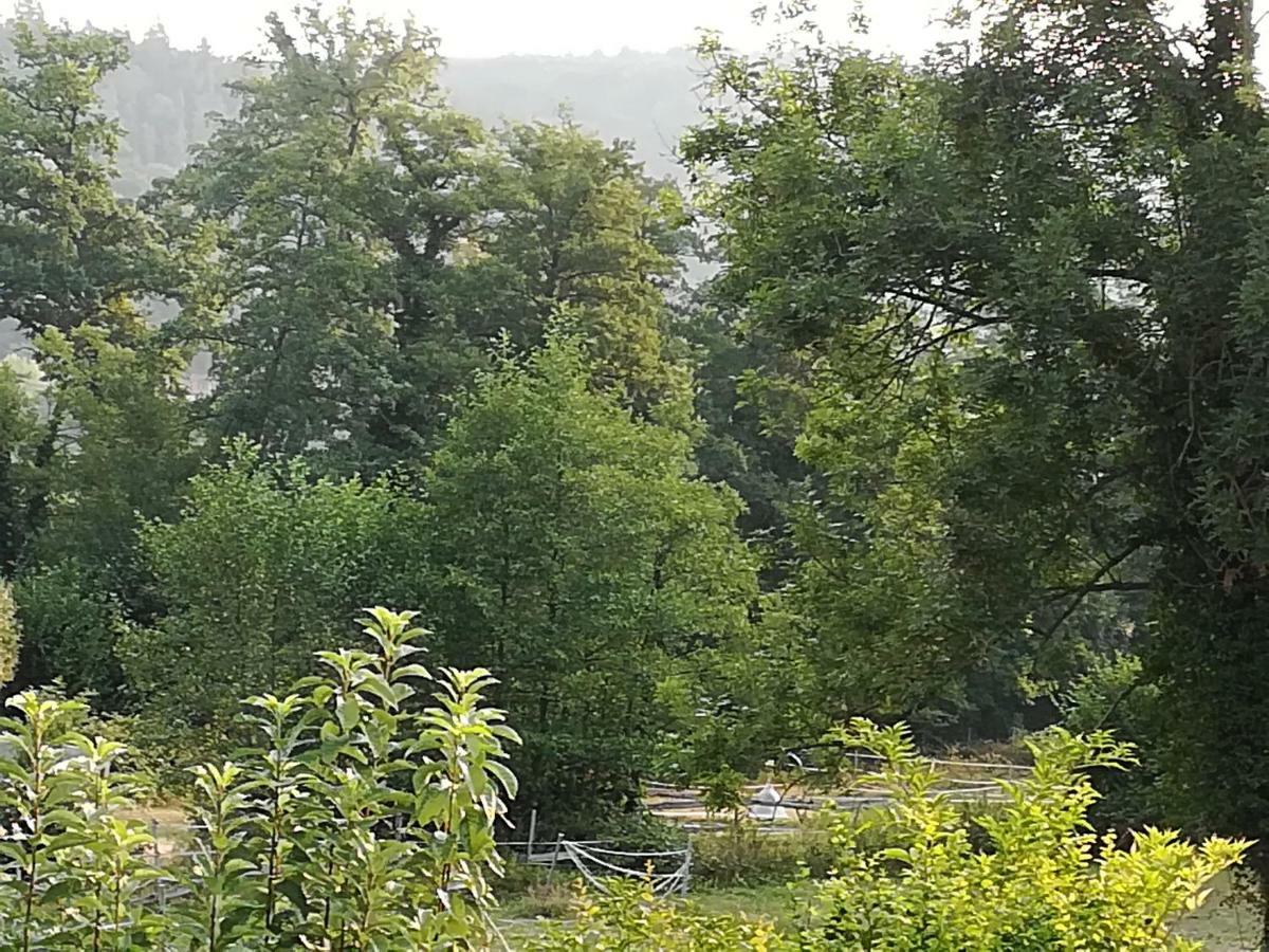 Ferienwohnung Lilly Büdingen Exteriör bild